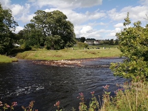 River Ure near Wensley