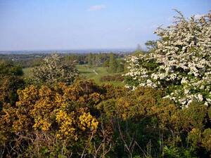 Catterick Golf Course